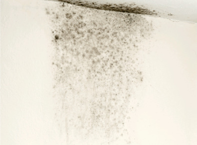 무안 주택 아파트 공장 결로검사 결로공사 시공업체